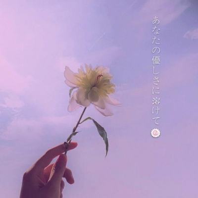 关于“开云电竞APP”截图